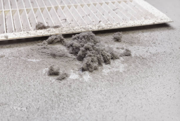 Best HVAC Duct Inspection Services  in Fremont, NE